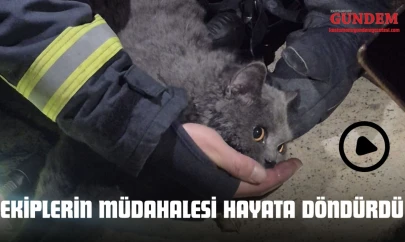 Ekiplerin Müdahalesi Hayata Döndürdü