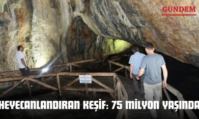 Heyecanlandıran Keşif: 75 Milyon Yaşında