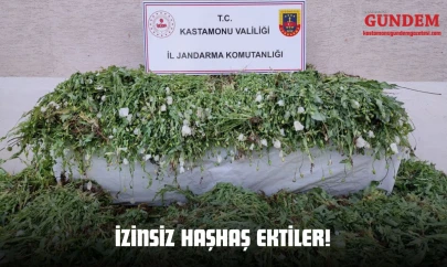 İzinsiz Haşhaş Ektiler!