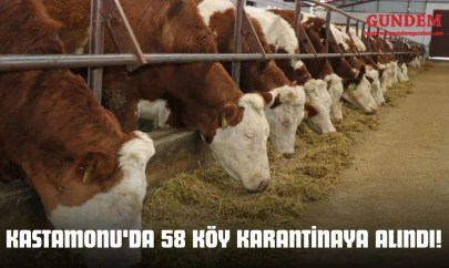 Kastamonu'da 58 Köy Karantinaya Alındı!