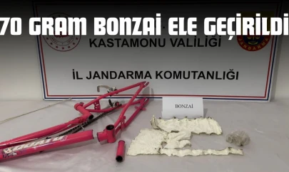 Kastamonu'da 70 Gram Bonzai Ele Geçirildi