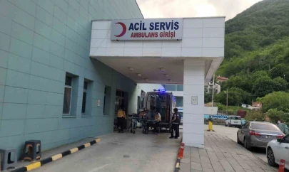 Akrep Soktu, Hastanelik Oldu!