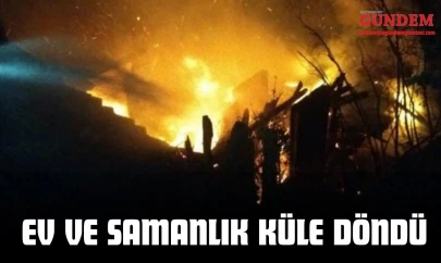 Kastamonu'da Çıkan Yangında Ev Ve Samanlık Küle Döndü