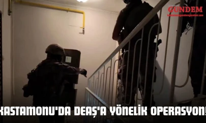 Kastamonu'da DEAŞ'a Yönelik Operasyon: 161 Şüpheli Yakalandı
