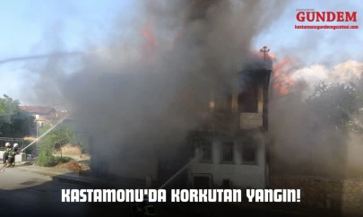 Kastamonu'da Korkutan Yangın!
