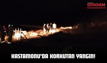 Kastamonu'da Korkutan Yangın!