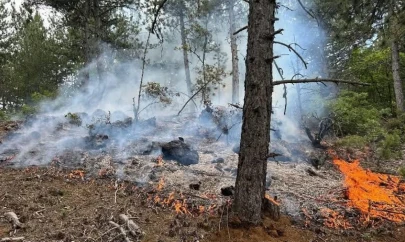 Kastamonu'da Orman Yangını