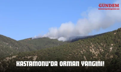 Kastamonu'da Orman Yangını!