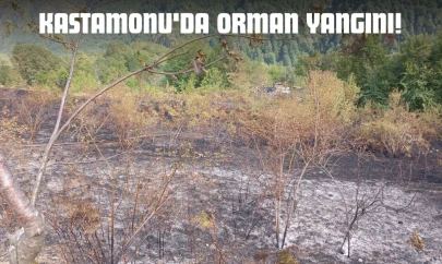 Kastamonu'da Orman Yangını!