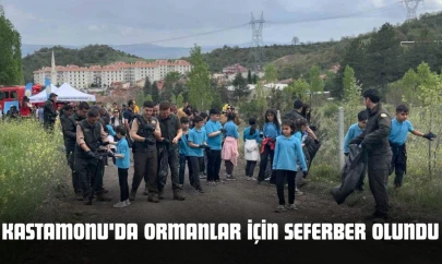 Kastamonu'da Ormanlar İçin Seferber Olundu