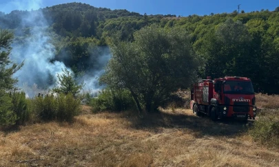 Kastamonu'da Ormanlık Alanda Yangın