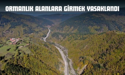 Kastamonu'da Ormanlık Alanlara Girmek Yasaklandı