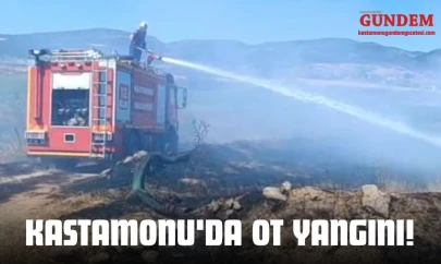 Kastamonu'da Ot Yangını!