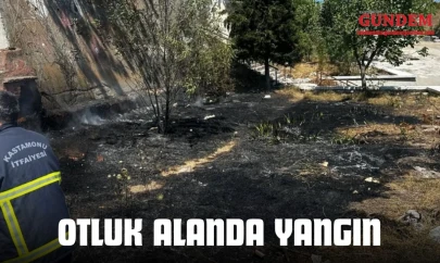 Kastamonu'da Otluk Alanda Yangın