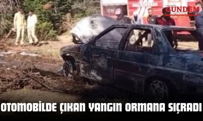 Kastamonu'da Otomobilde Çıkan Yangın Ormana Sıçradı