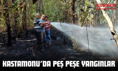 Kastamonu'da Peş Peşe Yangınlar: Ekipler Zamanla Yarıştı
