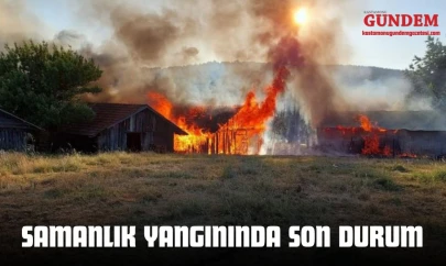 Kastamonu'da Samanlık Yangınında Son Durum