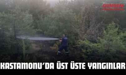 Kastamonu'da Üst Üste Yangınlar!