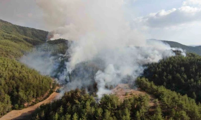Kastamonu-Karabük Sınırında İkinci Orman Yangını!