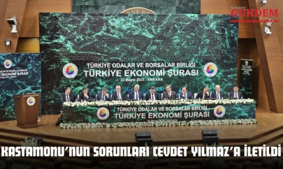 Kastamonu'nun Sorunları Cevdet Yılmaz'a İletildi