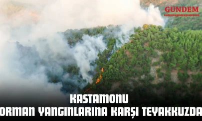 Kastamonu Orman Yangınlarına Karşı Teyakkuzda
