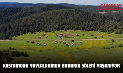 Kastamonu Yaylalarında Baharın Şöleni Yaşanıyor