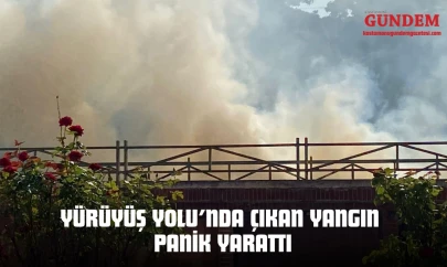Kastamonu Yürüyüş Yolu'nda Çıkan Yangın Panik Yarattı