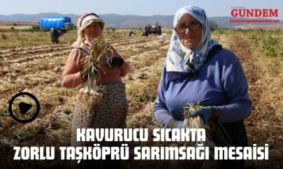 Kavurucu Sıcakta Zorlu Taşköprü Sarımsağı Mesaisi