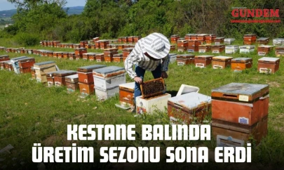 Kestane Balında Üretim Sezonu Sona Erdi