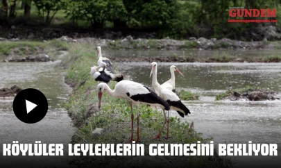 Köylüler Leyleklerin Gelmesini Bekliyor