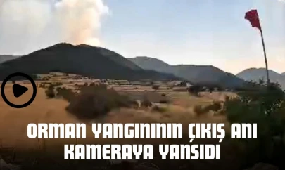 Orman Yangınının Çıkış Anı Kameraya Yansıdı