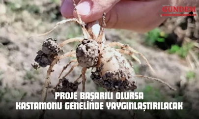 Proje Başarılı Olursa Kastamonu Genelinde Yaygınlaştırılacak