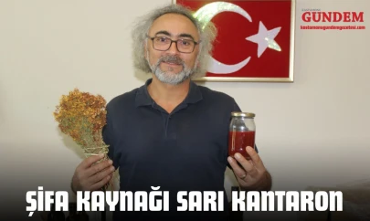 Şifa Kaynağı Sarı Kantaron