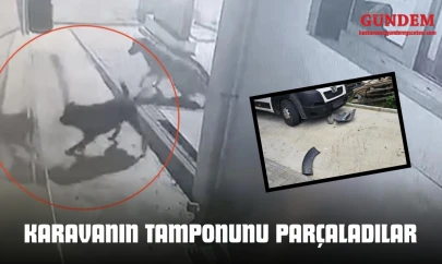 Sokak Köpekleri Karavanın Tamponunu Parçaladı