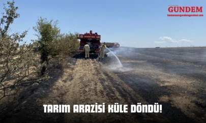 Tarım Arazisi Küle Döndü!