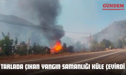 Tarlada Çıkan Yangın Samanlığı Küle Çevirdi