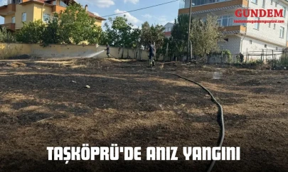 Taşköprü'de Anız Yangını