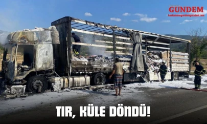 Tır, Küle Döndü!