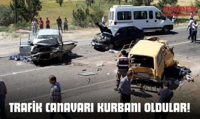 Trafik Canavarı Kurbanı Oldular!