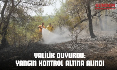 Valilik Duyurdu: Yangın Kontrol Altına Alındı