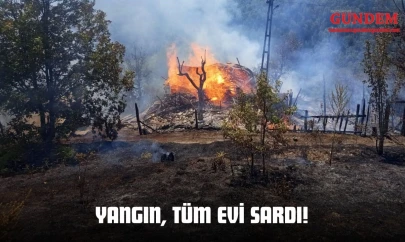 Yangın, Tüm Evi Sardı!