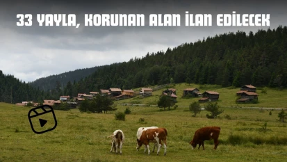 33 Yayla, Korunan Alan İlan Edilecek