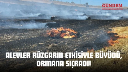 Alevler Rüzgarın Etkisiyle Büyüdü, Ormana Sıçradı!