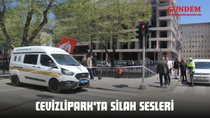 Cevizlipark'ta Silah Sesleri