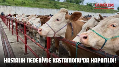 Çevre İllerdeki Hastalık Nedeniyle Kastamonu'da Kapatıldı!