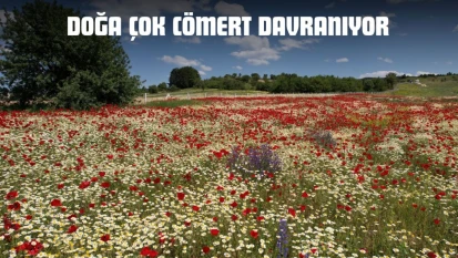Doğa Çok Cömert Davranıyor