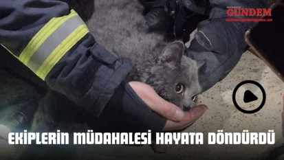 Ekiplerin Müdahalesi Hayata Döndürdü