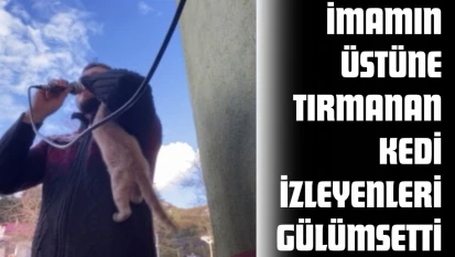 Ezan Okuyan İmamın Üzerine Tırmanan Kedi İzleyenleri Gülümsetti