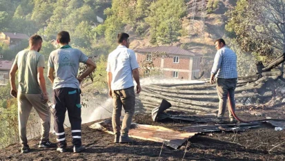 Kastamonu'da Aynı Bölgede İkinci Orman Yangını!
