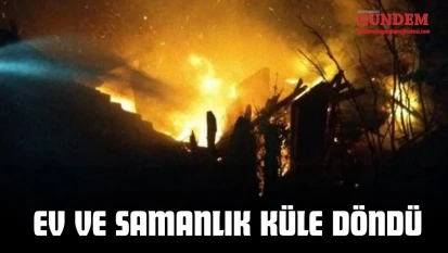 Kastamonu'da Çıkan Yangında Ev Ve Samanlık Küle Döndü